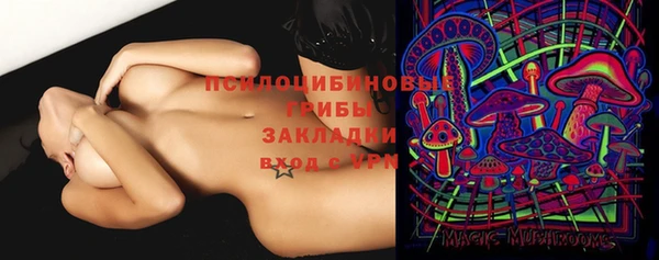 прущая мука Ельня