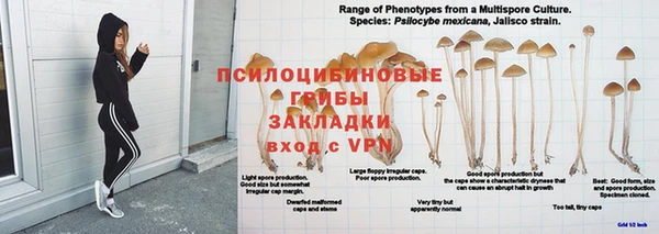 Альфа ПВП Сясьстрой