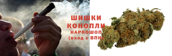 прущая мука Ельня