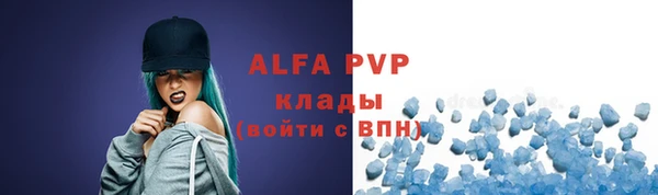 шишки Дмитровск
