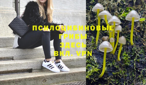 mdma Елизово