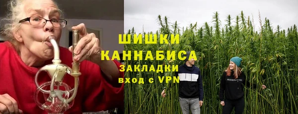 прущая мука Ельня