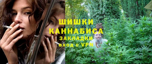 spice Елабуга