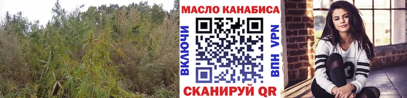ТГК вейп Каменка