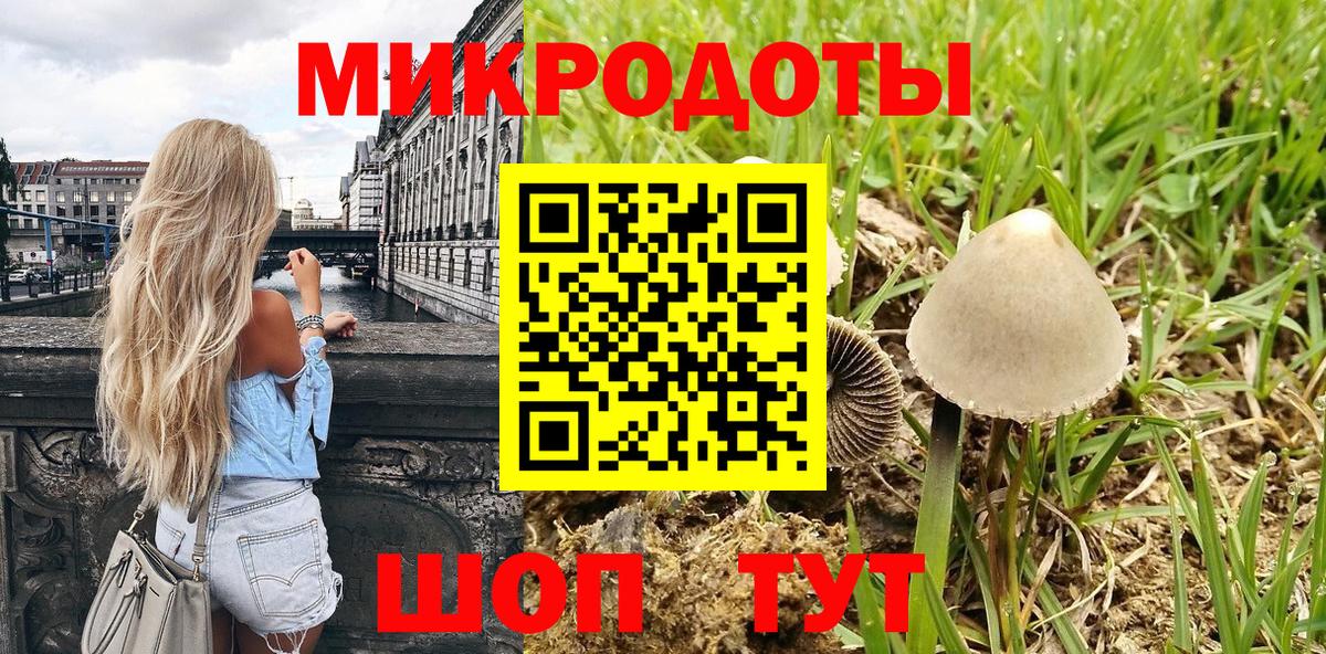 Псилоцибиновые грибы MAGIC MUSHROOMS Каменка