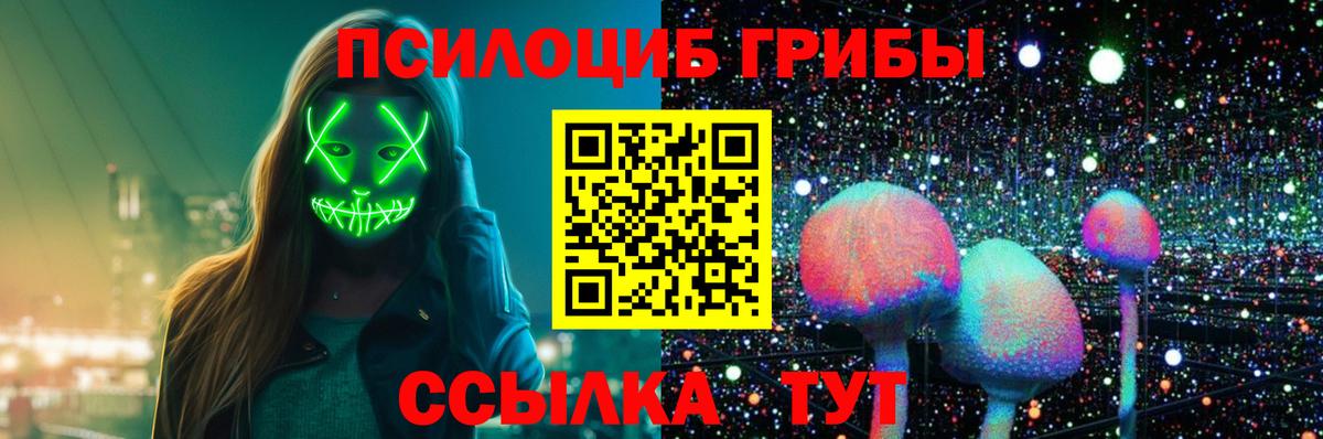 продажа наркотиков  Вход с VPN  Каменка  Галлюциногенные грибы Cubensis 