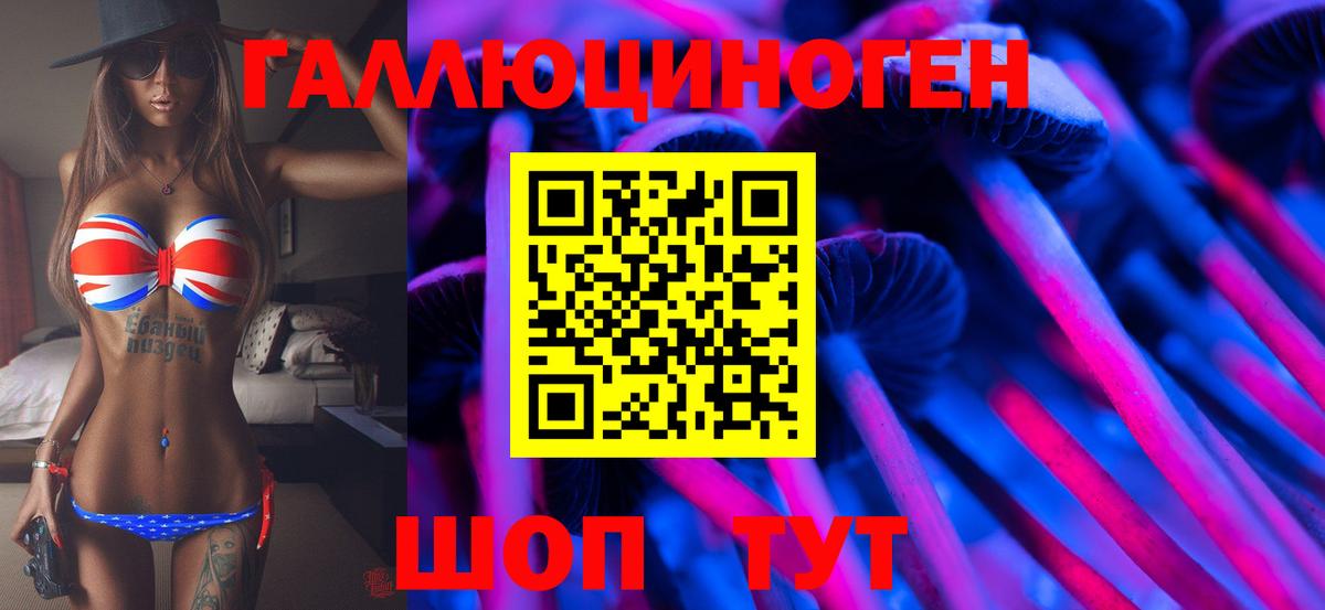 Псилоцибиновые грибы мицелий Каменка